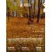  Hochgeladen am 27.10.2024 00:00:00Мамыкин Александр 