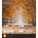  Загрузка от 04.11.2024 00:00:00 Блинов Константин 
