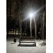  Hochgeladen am 07.11.2024 00:00:00Конопенко Ксения 