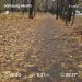  Загрузка от 08.11.2024 00:00:00 Татарченко Юлия 