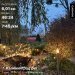  Hochgeladen am 07.11.2024 00:00:00Ртищева Евгения 