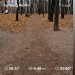  Загрузка от 11.11.2024 00:00:00 Татарченко Юлия 