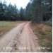  Hochgeladen am 14.11.2024 00:00:00Родченкова Татьяна 
