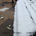  Загрузка от 17.11.2024 00:00:00 Татарченко Юлия 
