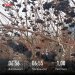  Hochgeladen am 17.11.2024 00:00:00Прохорова Любовь 