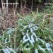  Hochgeladen am 18.11.2024 00:00:00Родченкова Татьяна 