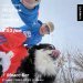  Hochgeladen am 21.11.2024 00:00:00Сидорова Анна 