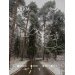  Hochgeladen am 28.11.2024 00:00:00Усачева Оксана 