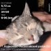  Загрузка от 02.12.2024 00:00:00 Калиничева Анна 