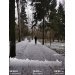  Hochgeladen am 07.12.2024 00:00:00Гарашкин Алексей 