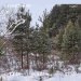  Hochgeladen am 11.12.2024 00:00:00Первушина Анна 