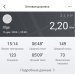 Hochgeladen am 16.12.2024 00:00:00Вершинина Ольга 