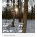  Hochgeladen am 17.12.2024 00:00:00Денисова Юлия 