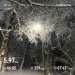  Hochgeladen am 17.12.2024 00:00:00Браславская Ирина 