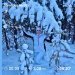  Hochgeladen am 18.12.2024 00:00:00Первушина Анна 