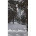  Hochgeladen am 19.12.2024 00:00:00Слезина Анастасия 