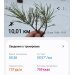 Hochgeladen am 22.12.2024 00:00:00Атнеева Наиля 