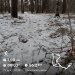  Hochgeladen am 23.12.2024 00:00:00Давиденко Ольга 