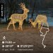  Hochgeladen am 27.12.2024 00:00:00Давиденко Ольга 
