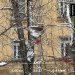  Hochgeladen am 01.01.2025 00:00:00Хорват Александра 