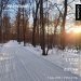  Hochgeladen am 05.01.2025 00:00:00Алферова Альфия 