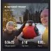  Hochgeladen am 18.01.2025 00:00:00Суворова Анна 