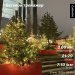  Hochgeladen am 25.01.2025 00:00:00Ермакова Ксения 