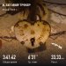  Hochgeladen am 26.01.2025 00:00:00Прохорова Любовь 