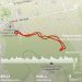  Hochgeladen am 04.02.2025 00:00:00Шакирова Резида 