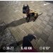  Hochgeladen am 04.02.2025 00:00:00Владимирова Екатерина 