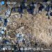  Загрузка от 08.02.2025 00:00:00 Полянская Марина 