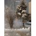  Hochgeladen am 09.02.2025 00:00:00Ключерова Тамара 