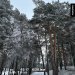  Hochgeladen am 13.02.2025 00:00:00Васильева Елена 