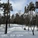  Hochgeladen am 15.02.2025 00:00:00Васильева Елена 