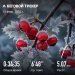  Hochgeladen am 16.02.2025 00:00:00Ярмухаметова Венера 