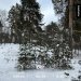  Hochgeladen am 20.02.2025 00:00:00Васильева Елена 