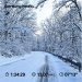  Hochgeladen am 21.02.2025 00:00:00Гончаренко Анастасия 