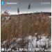  Hochgeladen am 21.02.2025 00:00:00Курицина Надежда 