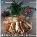 Hochgeladen am 24.02.2025 00:00:00Курицина Надежда 