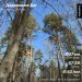  Hochgeladen am 02.03.2025 00:00:00Васильева Елена 