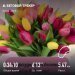  Hochgeladen am 08.03.2025 00:00:00Прохорова Любовь 
