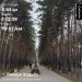  Hochgeladen am 11.03.2025 00:00:00Кирюшина Ульяна 