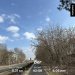  Hochgeladen am 14.03.2025 00:00:00Васильева Елена 