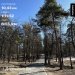  Hochgeladen am 23.03.2025 00:00:00Васильева Елена 