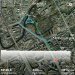  Hochgeladen am 29.03.2025 00:00:00Мурзина Ольга 