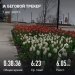  Hochgeladen am 01.04.2025 00:00:00Сидоренко Алексей 