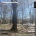  Загрузка от 04.04.2025 00:00:00 Васько Виктория 