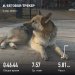  Hochgeladen am 05.04.2025 00:00:00Прохорова Любовь 