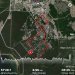  Загрузка от 05.04.2025 00:00:00 Панфилова Мария 
