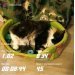  Hochgeladen am 08.04.2025 00:00:00Любовь Александровна 